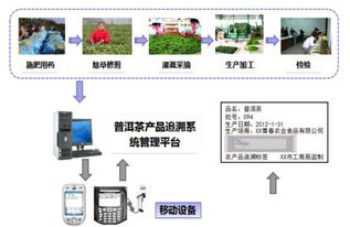 茶葉流通追溯系統(tǒng) 借助軟件開發(fā)塑造品牌價值